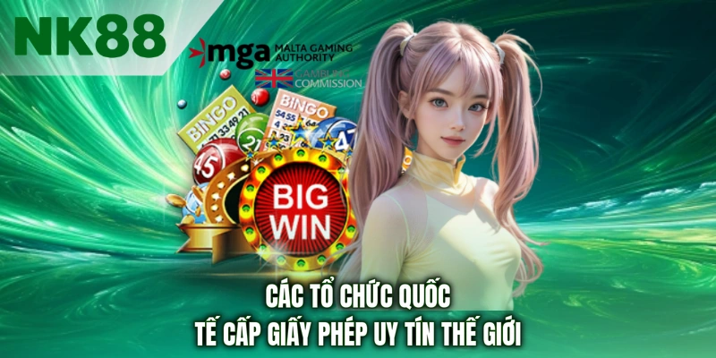 Các tổ chức quốc tế cấp giấy phép uy tín thế giới